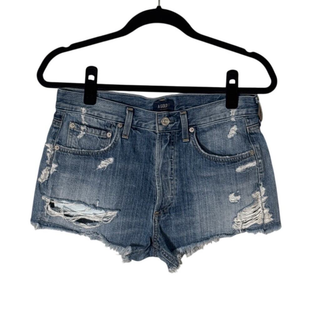 AGOLDE Parker Vintage Cutoff Short in Swapmeet‎ Size 25